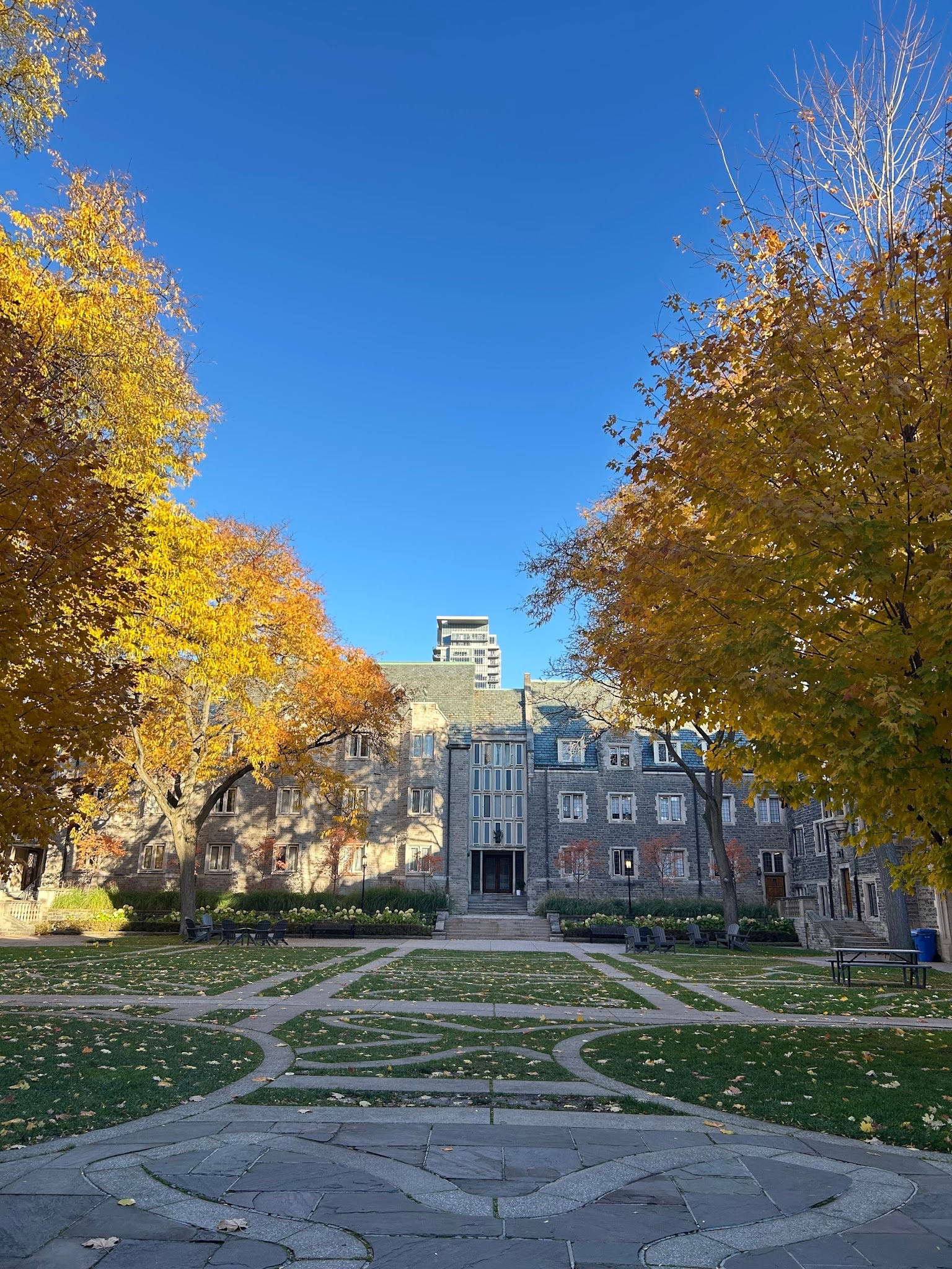 秋の紅葉とTrinity Collegeの写真