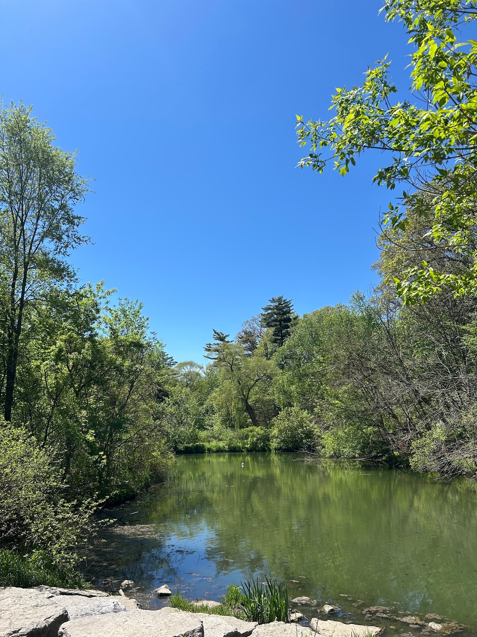 夏のトロント最大級の公園High Parkでの一枚