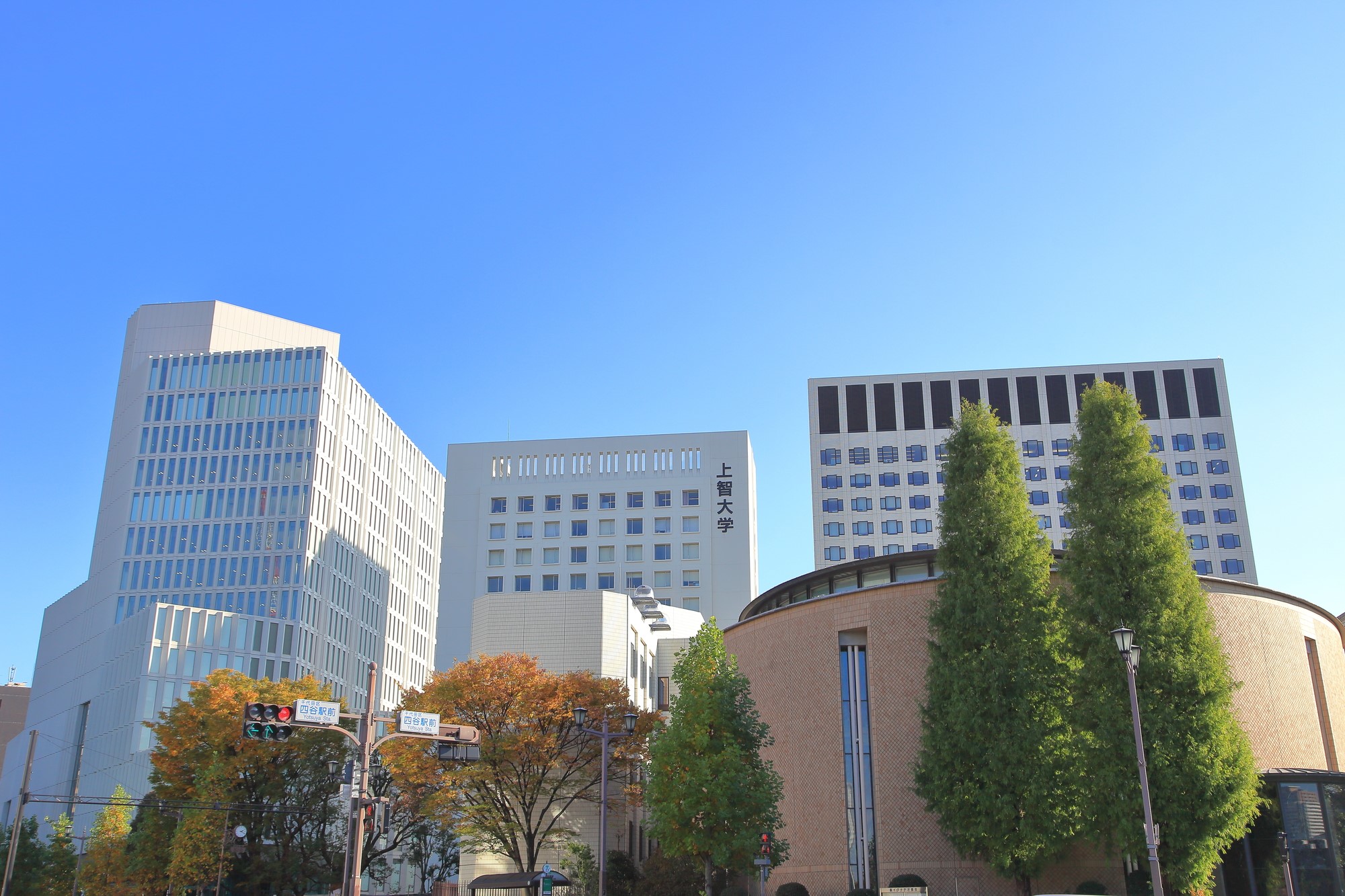 2021年度最新情報⑤ 上智大学国際教養学部(FLA)